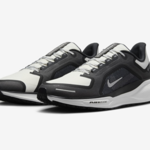 NIKE AIR ZOOM PEGASUS 41 GORE-TEX